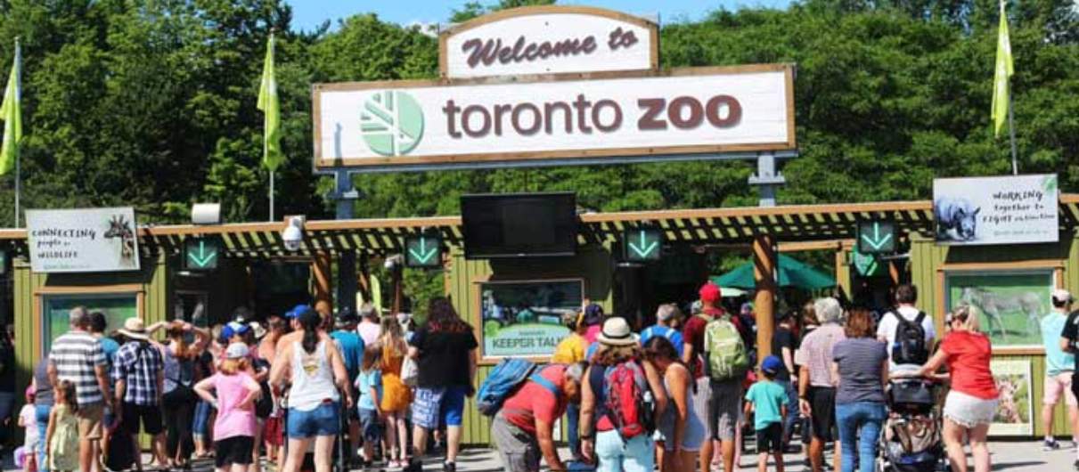 Visit the Toronto Zoo