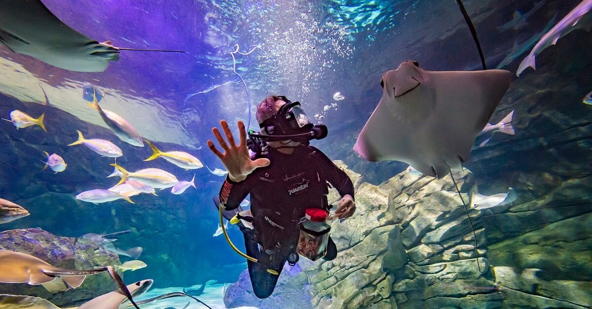 Explore Ripley's Aquarium